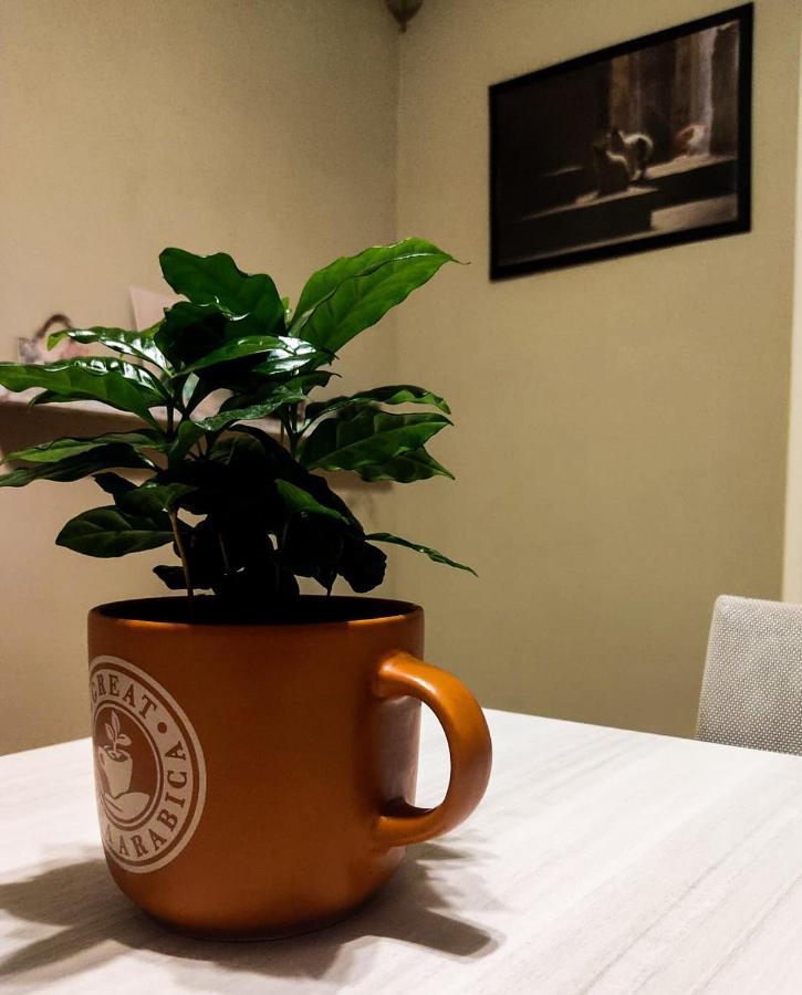 Ament'S B&B Syracuse Екстер'єр фото